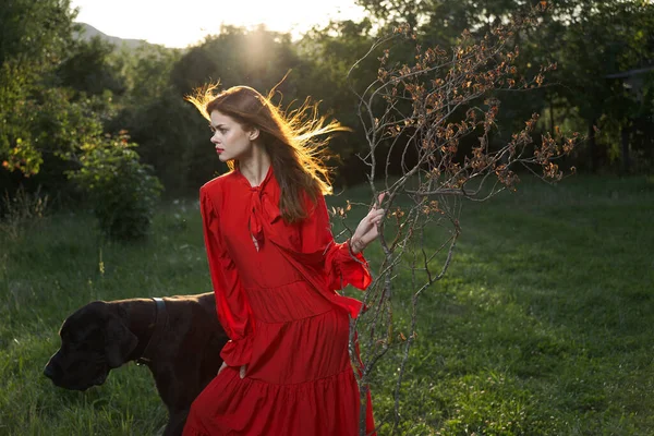 Beautiful woman in a red dress outdoors with a black dog friendship — Stock Photo, Image