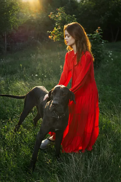 Woman in a red dress in a field with a black dog Friendship fun — Stock Photo, Image