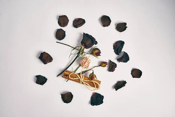 Букет лепестков роз украшения цветов корицы красоты — стоковое фото
