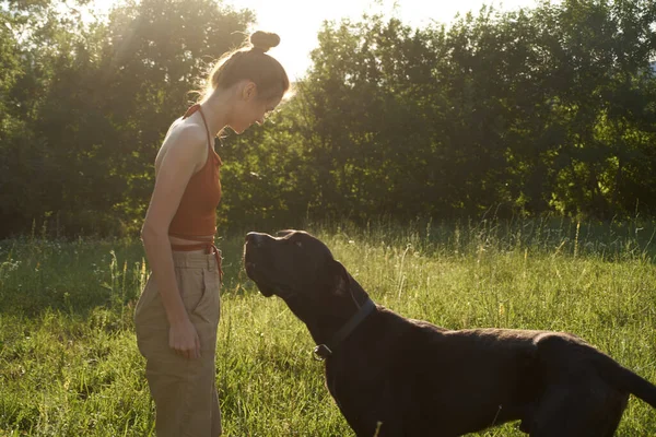 Glad kvinna leker med en hund på ett fält i naturen på sommaren — Stockfoto