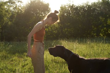 Yazın bir tarlada köpekle oynayan neşeli bir kadın.