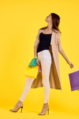 Göz kamaştırıcı kadın, rengarenk paketler, alışveriş modası izole edilmiş arka plan.