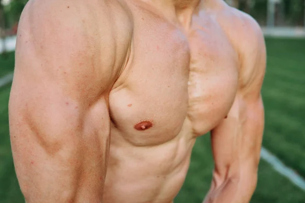 Homme sportif avec abdos pompés dans le parc tout en entraînement exercice mode de vie — Photo