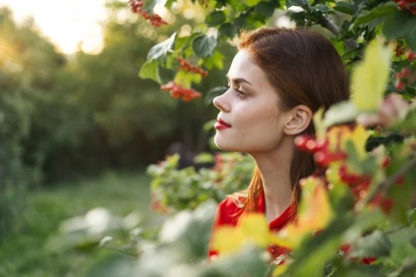 Mulher vestido vermelho folhas verdes natureza verão — Fotografia de Stock