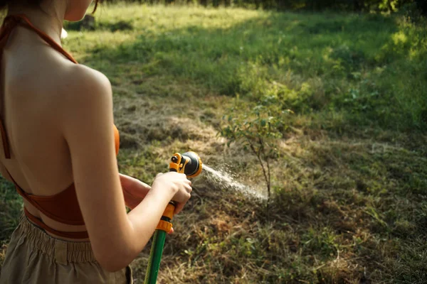 Жінка поливає рослини в саду природа росте — стокове фото