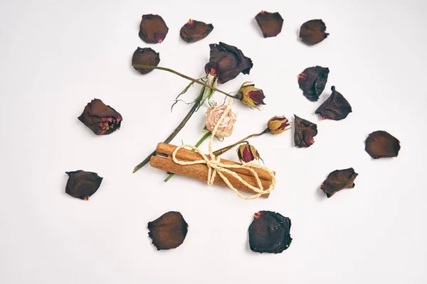 Ros kronblad bukett blommor dekoration kanel skönhet — Stockfoto