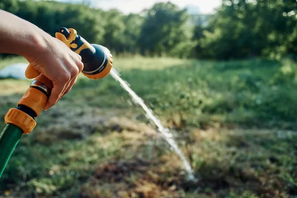 Watering plants with garden hose nature agriculture cultivation — Stock Photo, Image