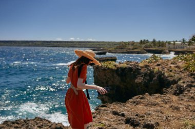 Adanın palmiye ağaçları Yaz mevsiminde egzotik manzaralar