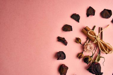 Çiçek dekorasyonu tarçın pembe arkaplan üstü görünümü