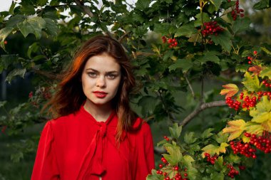 Yazın çalıların yanında güzel bir kadın.