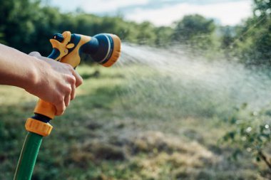 Kadın, bahçe kırsalında ağaç suluyor yaz tarımında