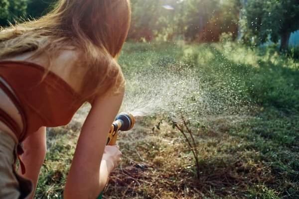 Vattning träd trädgård natur sommar odling växer — Stockfoto