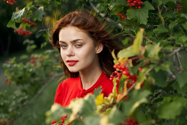 Güzel kadın temiz hava yaz meyveleri doğa