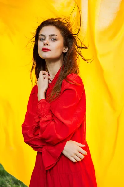 Mulher bonita no vestido vermelho natureza pano amarelo no fundo — Fotografia de Stock