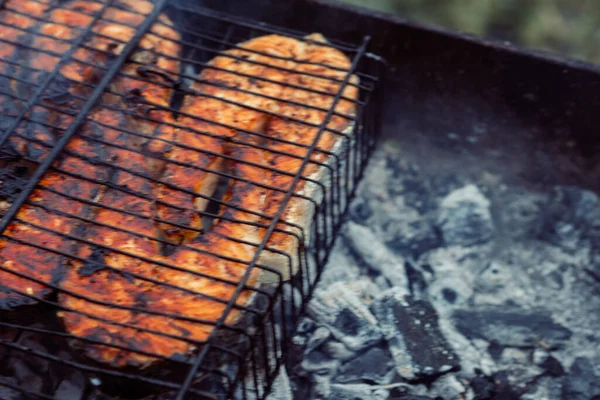 Peixe grelhado bbq carvão vegetal cozinhar natureza verão — Fotografia de Stock