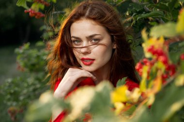 Böğürtlenli güzel kadın çalılığı. Temiz hava.