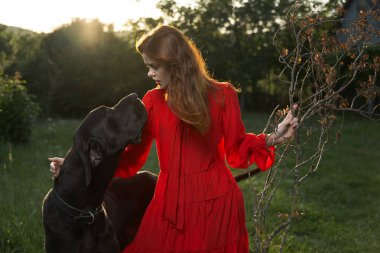 Saf köpek gezintisinden güzel bir kadın.