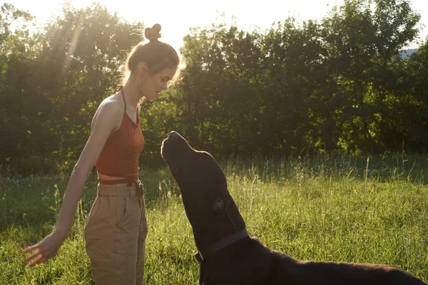 Glad kvinna leker med en hund på ett fält i naturen på sommaren — Stockfoto