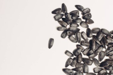 Filizlenen ayçiçeği tohumları organik tarım doğal ürünleri