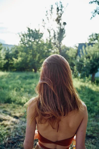 Vattning växter med trädgård slang natur jordbruk odling — Stockfoto