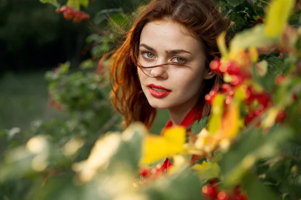 Vacker kvinna buske med bär natur frisk luft — Stockfoto
