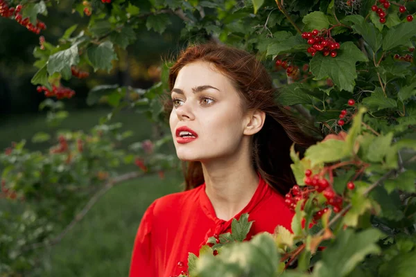 Donna allegra in un cespuglio di camicia rossa bacche campagna — Foto Stock