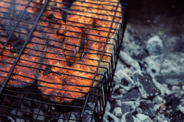 Grilované ryby bbq dřevěné uhlí vaření příroda léto — Stock fotografie
