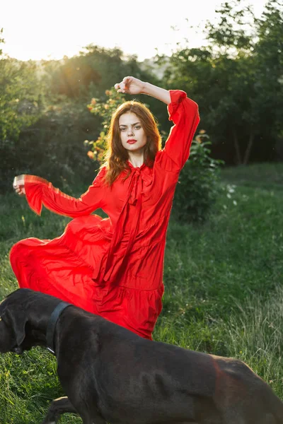 Kvinna i en röd klänning på ett fält med en svart hund Vänskap kul — Stockfoto