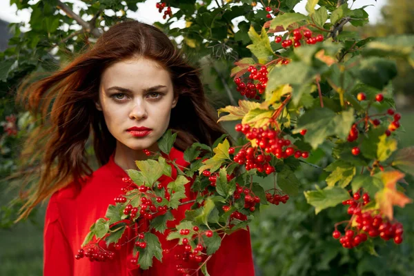 Женщина в красной рубашке растёт ягодами — стоковое фото