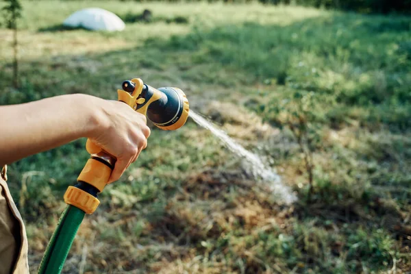 Vattning växter med trädgård slang natur jordbruk odling — Stockfoto