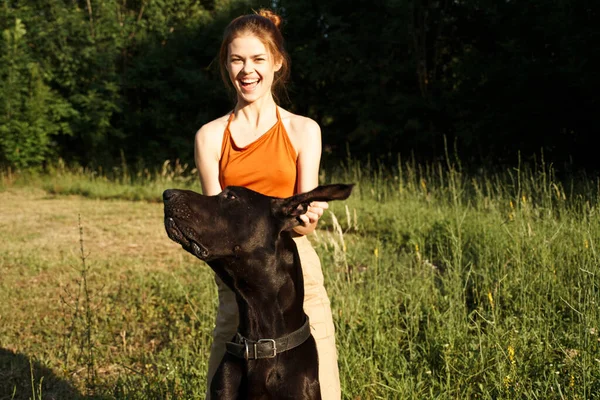 Mulher ao ar livre no campo com cão amizade jogando — Fotografia de Stock