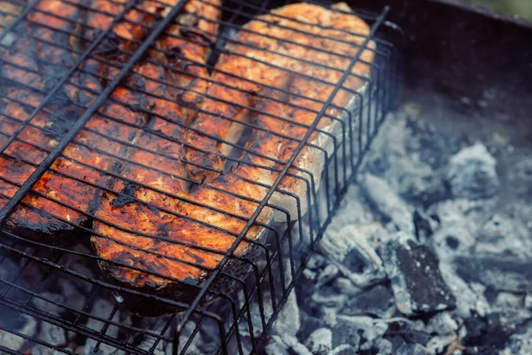 Grilled fish bbq charcoal cooking nature summer — Stock Photo, Image