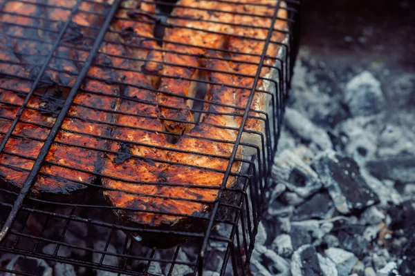 Peixe grelhado bbq carvão vegetal cozinhar natureza verão — Fotografia de Stock