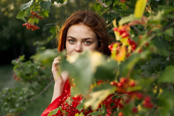 Красивая женщина куст с ягодами Природа свежий воздух — стоковое фото