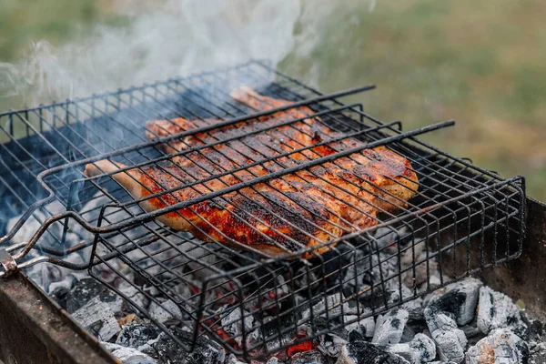 Ψητό κοτόπουλο εξωτερική μαγείρεμα κάρβουνο σχάρα φύση — Φωτογραφία Αρχείου