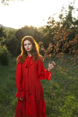 Kırmızı elbiseli kadın yaz pozu veren ağacın yanındaki tarlada