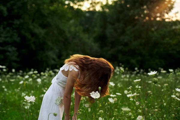 白いドレス畑の可愛い女は自由の身 — ストック写真