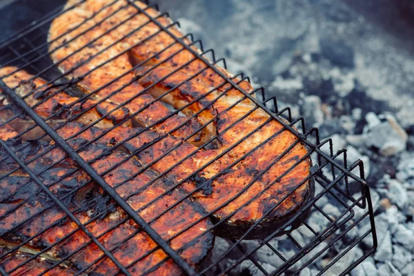 Parrilla de pescado barbacoa carbón cocina naturaleza verano — Foto de Stock
