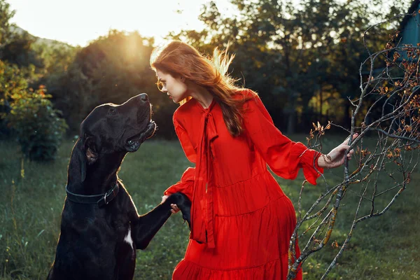 Cute woman in red dress playing with dog outdoors friendship — Stock Photo, Image