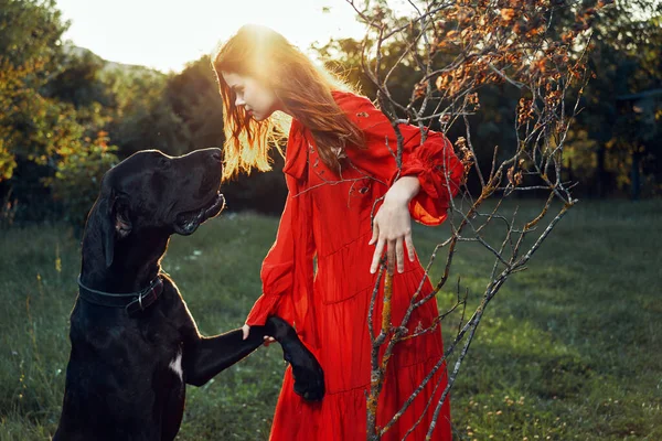 Cute woman in red dress playing with dog outdoors friendship — Stock Photo, Image