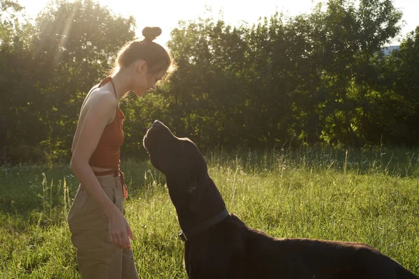 Glad kvinna leker med en hund på ett fält i naturen på sommaren — Stockfoto