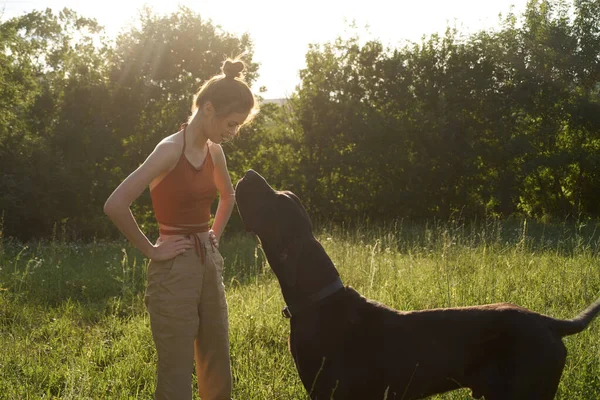 Mujer alegre jugando con un perro en un campo en la naturaleza en verano —  Fotos de Stock