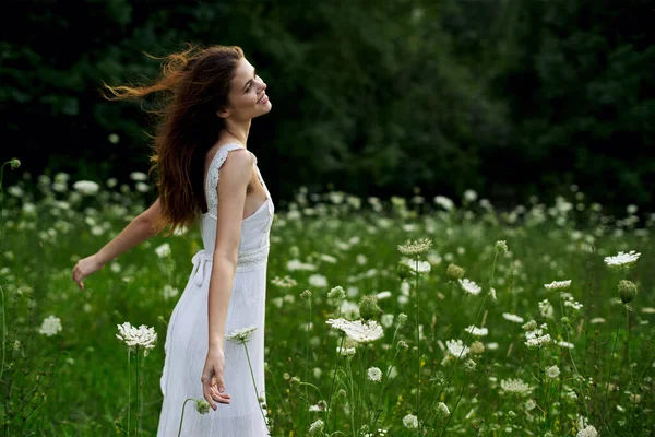 Pretty woman in white dress field flowers freedom nature — Stock Photo, Image