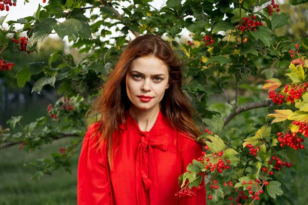 Kvinna i röd skjorta nära buske bär natur sommar — Stockfoto