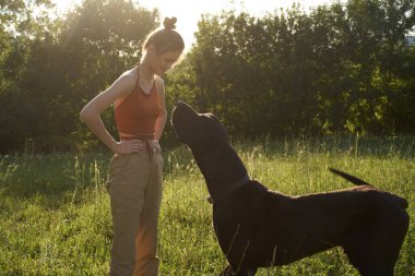 Yazın bir tarlada köpekle oynayan neşeli bir kadın.