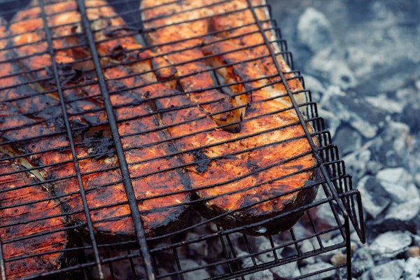 Peixe grelhado bbq carvão vegetal cozinhar natureza verão — Fotografia de Stock