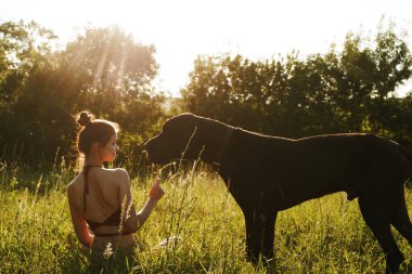 Yazın bir tarlada köpekle oynayan neşeli bir kadın.
