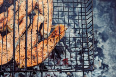 Izgara balık bbq kömür pişirme doğa yaz