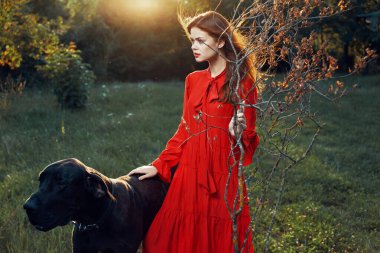 Saf köpek gezintisinden güzel bir kadın.