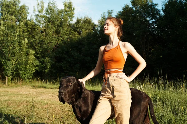 Mulher no campo no verão brincando com uma amizade cão — Fotografia de Stock